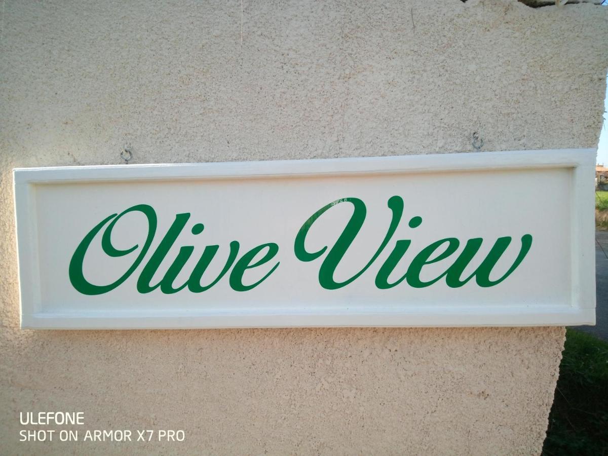 Olive View Villa Puissalicon Exterior photo